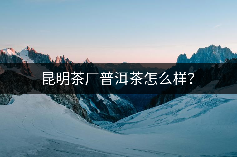 昆明茶廠普洱茶怎么樣？