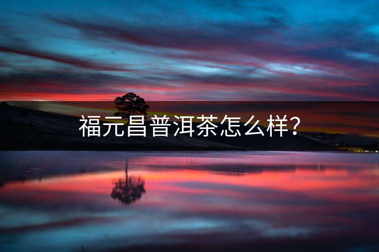 福元昌普洱茶怎么樣？