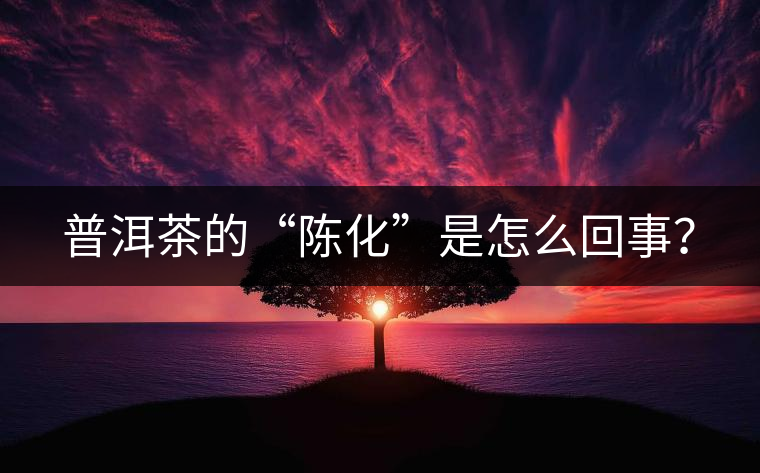 普洱茶的“陳化”是怎么回事？