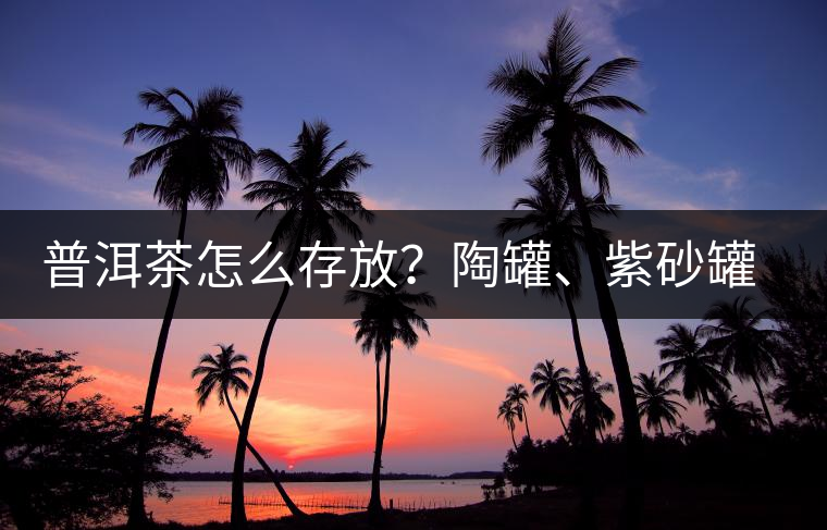 普洱茶怎么存放？陶罐、紫砂罐存茶，哪樣好？
