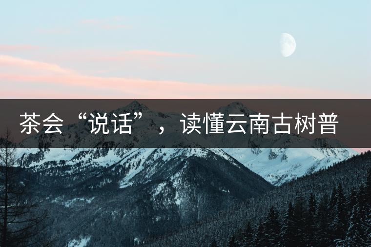茶會(huì)“說(shuō)話(huà)”，讀懂云南古樹(shù)普洱茶的秘訣