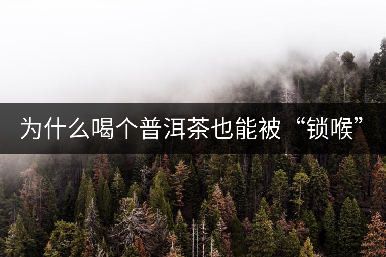 為什么喝個(gè)普洱茶也能被“鎖喉”？