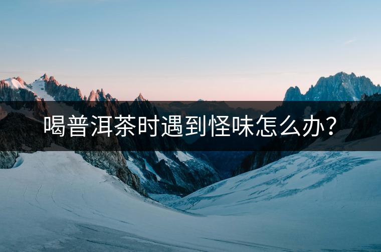 喝普洱茶時遇到怪味怎么辦？