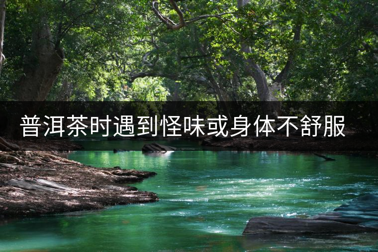 普洱茶時遇到怪味或身體不舒服時，怎么破？