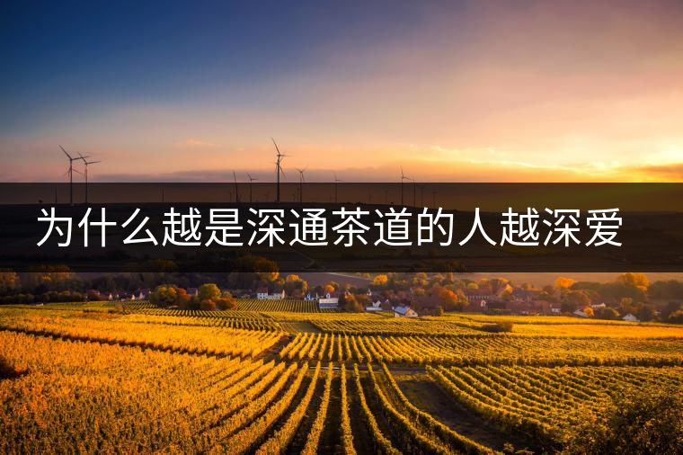 為什么越是深通茶道的人越深愛普洱茶？喜歡普洱茶，有三個原因。