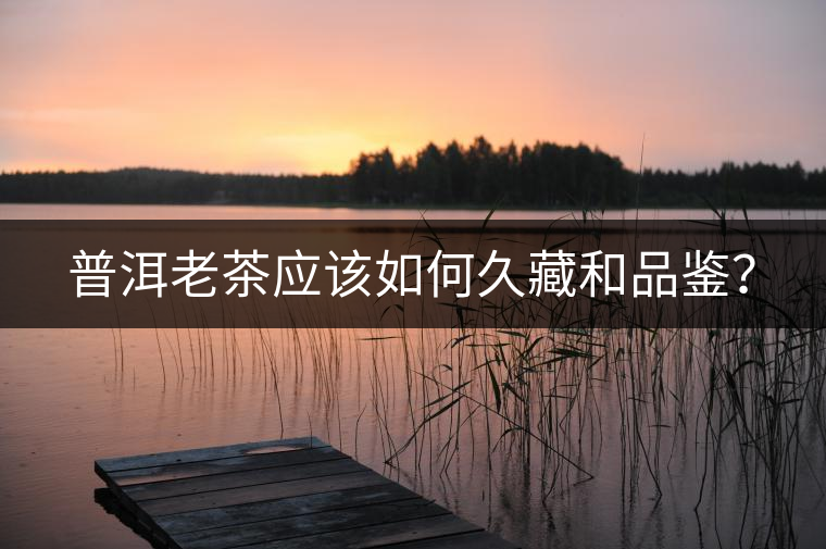 普洱老茶應(yīng)該如何久藏和品鑒？