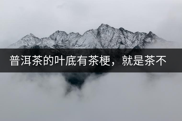 普洱茶的葉底有茶梗，就是茶不好嗎？