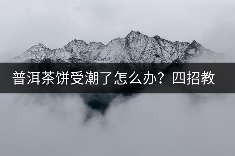 普洱茶餅受潮了怎么辦？四招教你拯救受潮發(fā)霉的茶餅