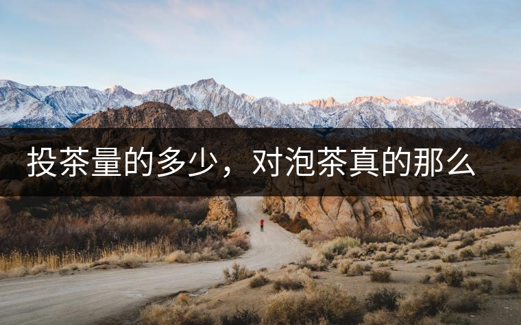 投茶量的多少，對泡茶真的那么重要嗎？