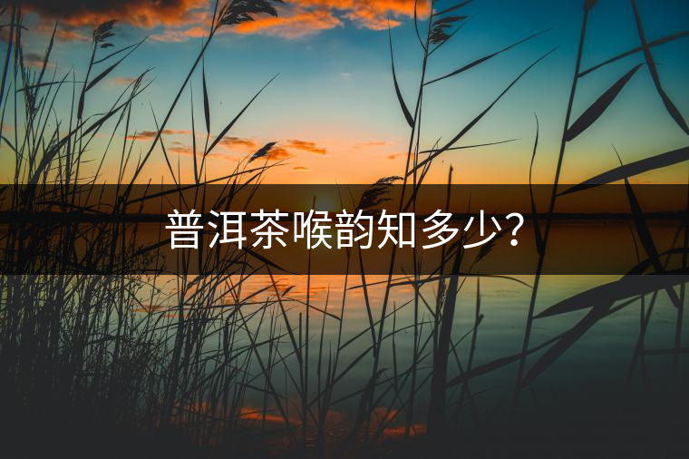 普洱茶喉韻知多少？