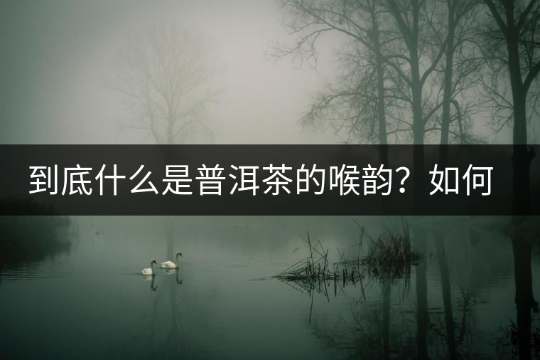 到底什么是普洱茶的喉韻？如何感受？