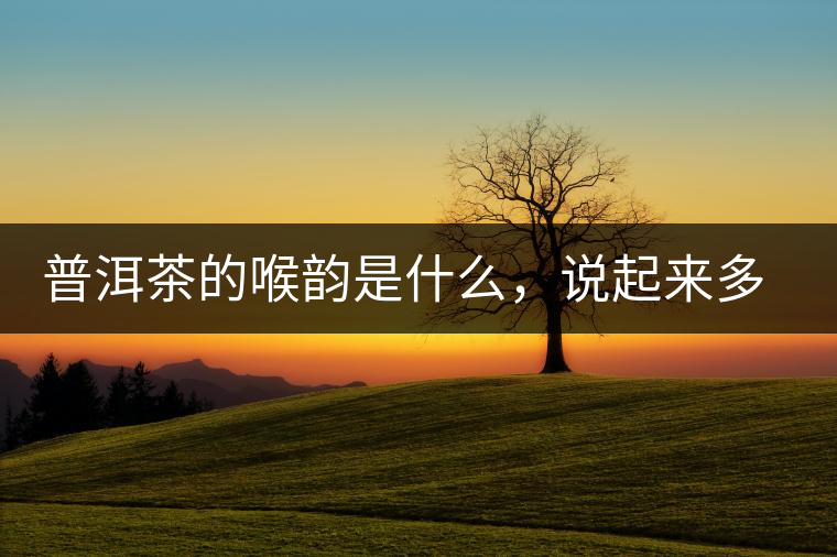 普洱茶的喉韻是什么，說起來多少有點(diǎn)玄乎