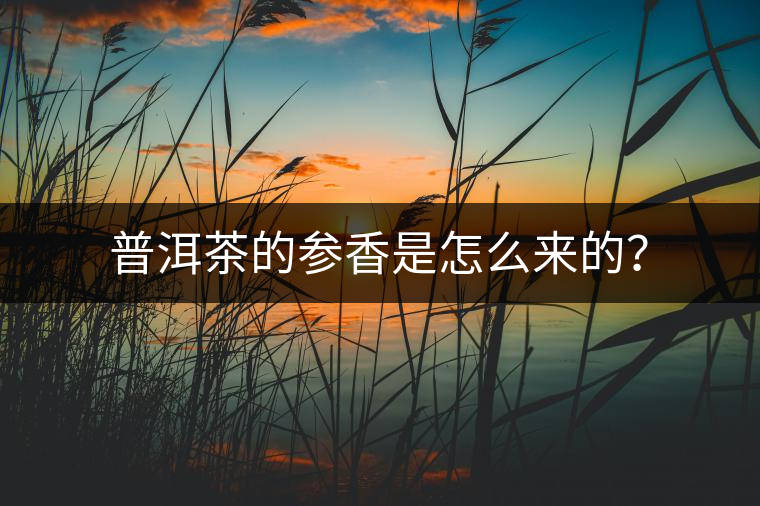 普洱茶的參香是怎么來(lái)的？