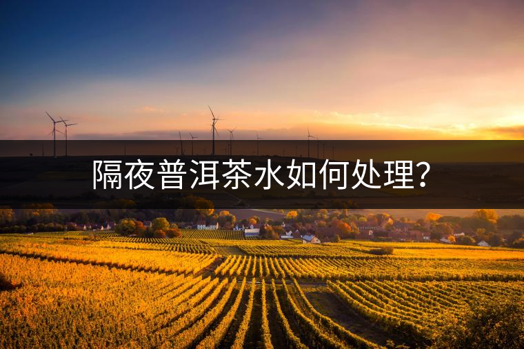 隔夜普洱茶水如何處理？