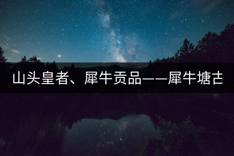 山頭皇者、犀牛貢品——犀牛塘古樹茶！