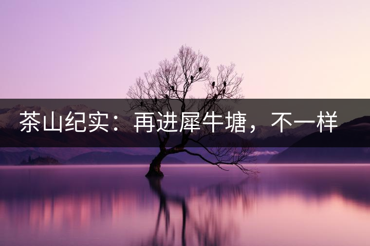 茶山紀(jì)實：再進犀牛塘，不一樣的感覺；菁瑤可以預(yù)見的豐收年