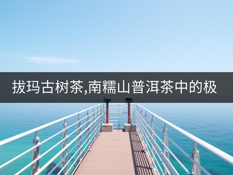 拔瑪古樹茶,南糯山普洱茶中的極品!