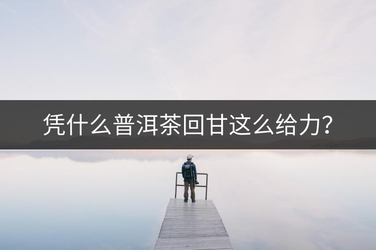 憑什么普洱茶回甘這么給力？