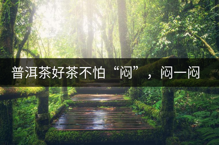 普洱茶好茶不怕“悶”，悶一悶看本味