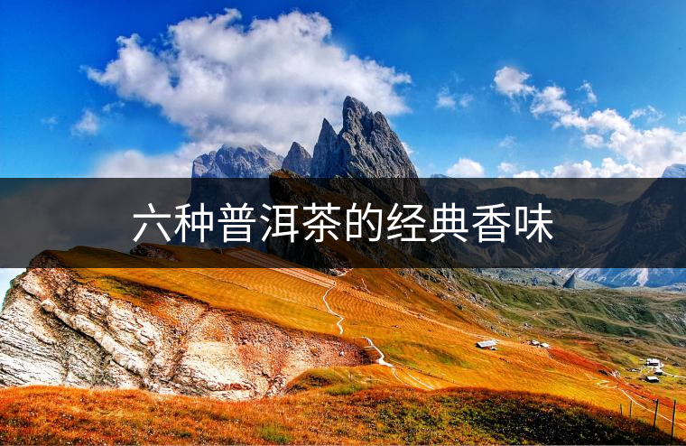 六種普洱茶的經(jīng)典香味
