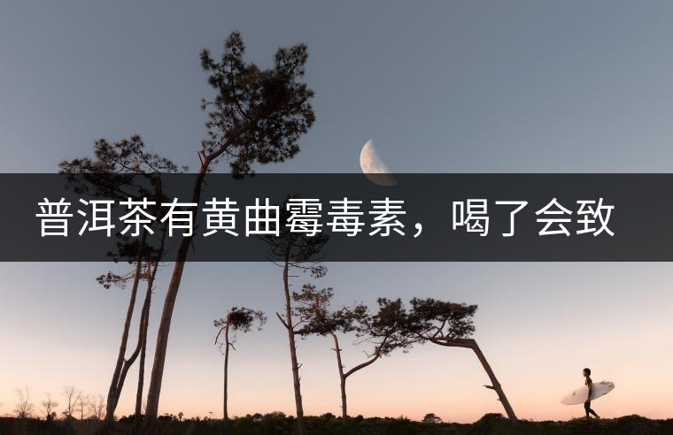 普洱茶有黃曲霉毒素，喝了會致癌？不黑不吹，咱用事實說話