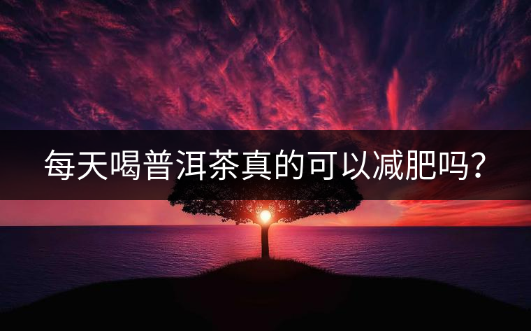 每天喝普洱茶真的可以減肥嗎？