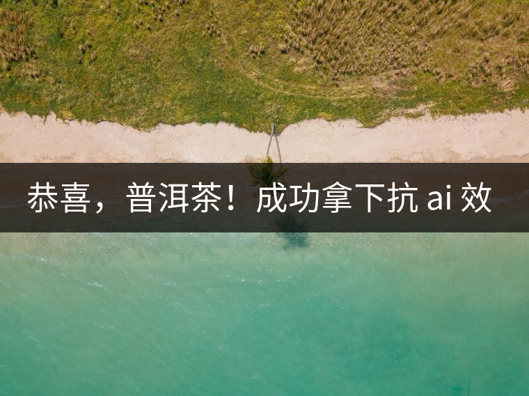 恭喜，普洱茶！成功拿下抗 ai 效果第二名！