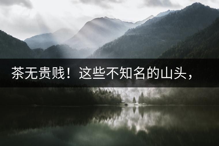 茶無貴賤！這些不知名的山頭，其實(shí)也產(chǎn)優(yōu)質(zhì)普洱茶！
