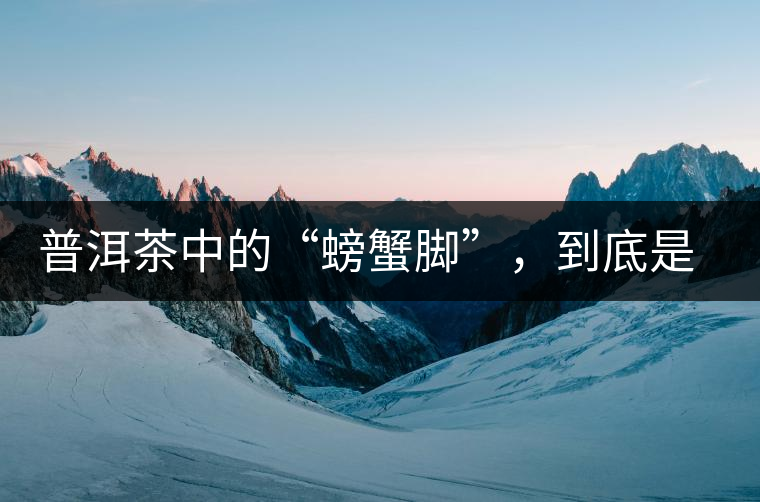 普洱茶中的“螃蟹腳”，到底是什么？如何辨別？