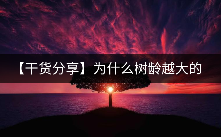 【干貨分享】為什么樹齡越大的普洱生茶，苦味越容易化掉？