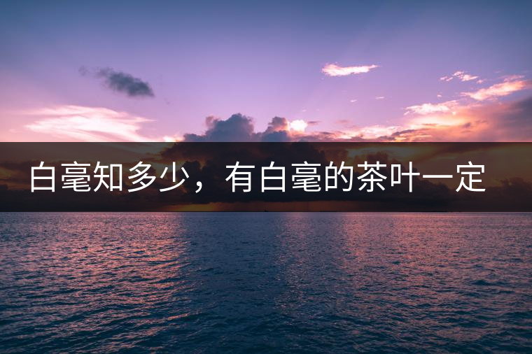 白毫知多少，有白毫的茶葉一定好嗎？