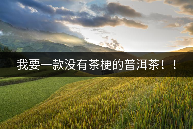 我要一款沒有茶梗的普洱茶??！