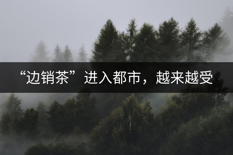 “邊銷茶”進(jìn)入都市，越來越受人們青睞