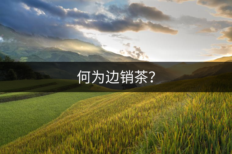 何為邊銷茶？