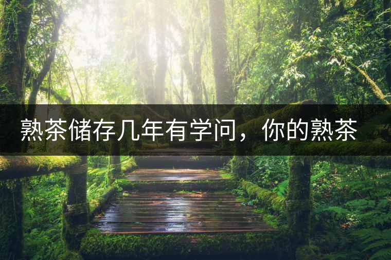 熟茶儲存幾年有學問，你的熟茶存幾年？