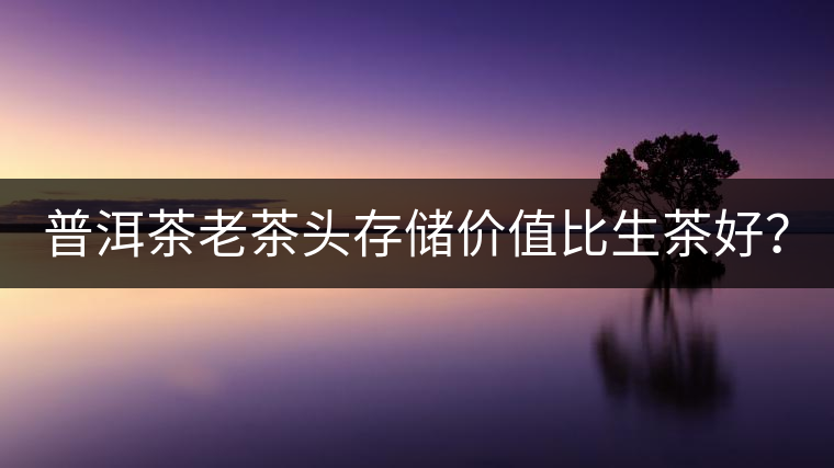 普洱茶老茶頭存儲價值比生茶好？