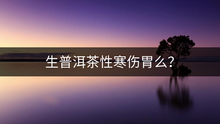 生普洱茶性寒傷胃么？