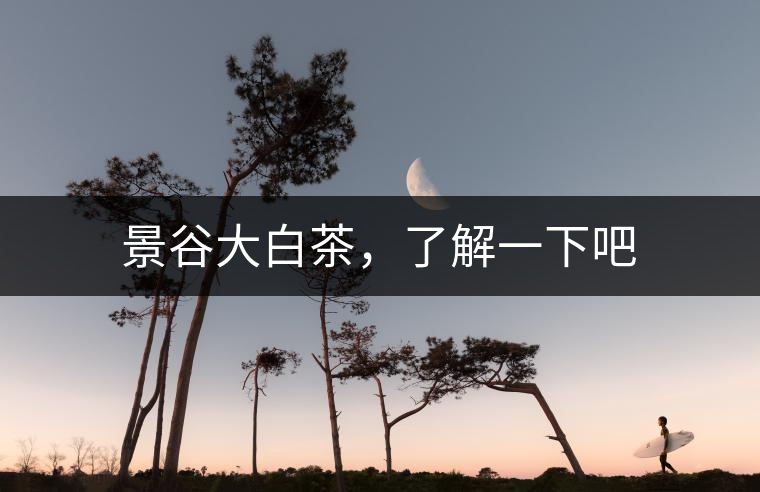景谷大白茶，了解一下吧