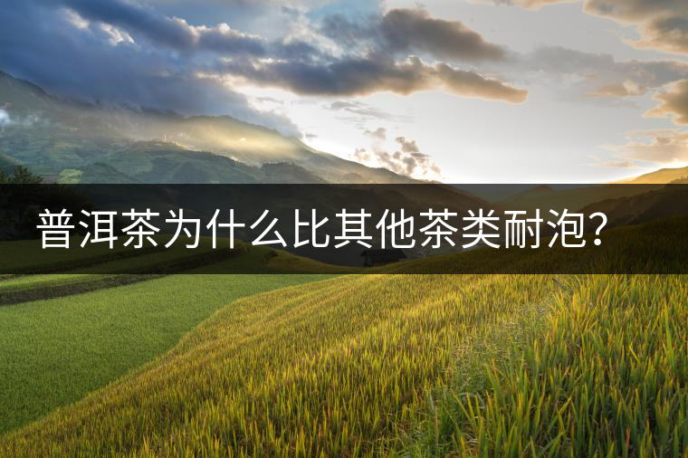 普洱茶為什么比其他茶類耐泡？影響普洱茶耐泡程度的因素有哪些？