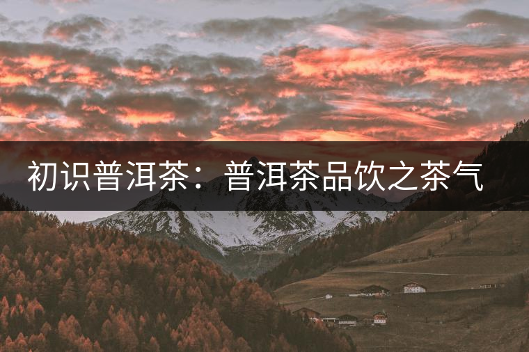 初識普洱茶:普洱茶品飲之茶氣體驗(yàn) 初識普洱茶:普洱茶品飲之茶氣體驗(yàn)