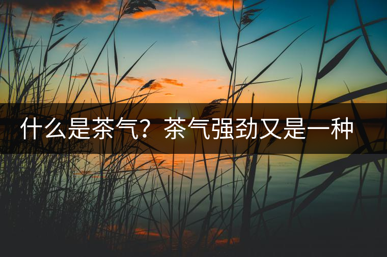 什么是茶氣？茶氣強(qiáng)勁又是一種怎樣的體驗(yàn)？