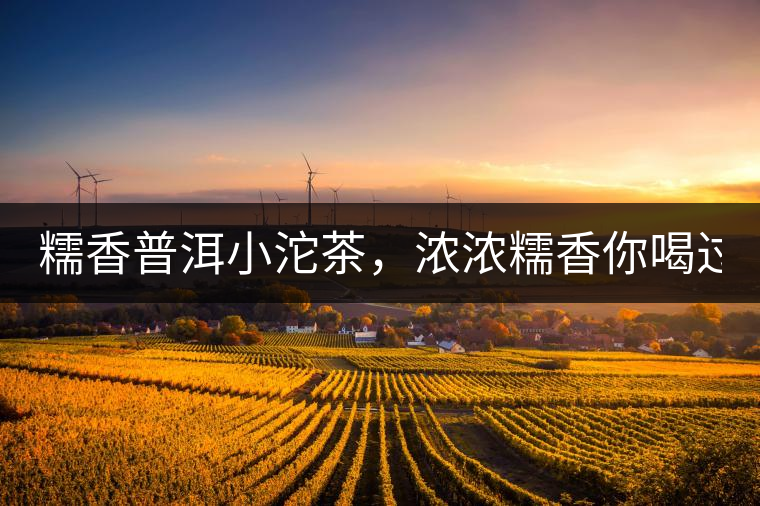 糯香普洱小沱茶，濃濃糯香你喝過(guò)嗎？
