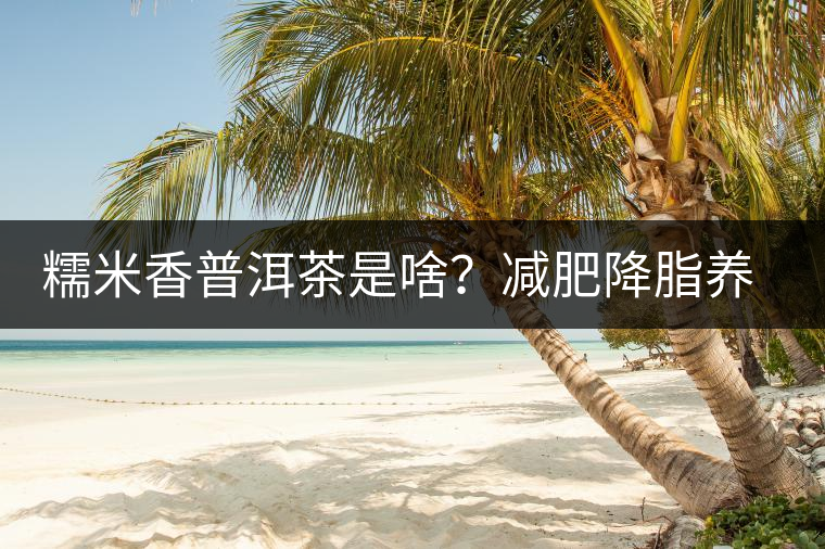 糯米香普洱茶是啥？減肥降脂養(yǎng)顏……