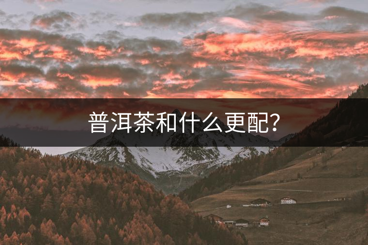 普洱茶和什么更配？