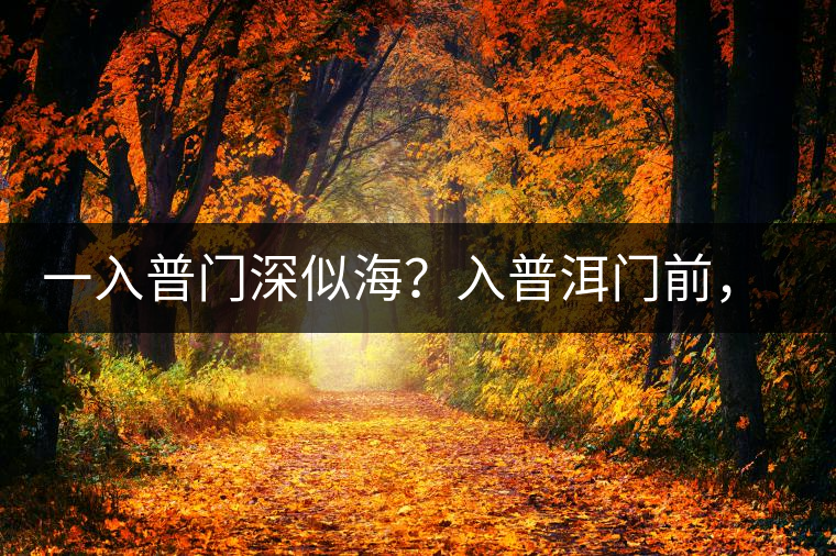 一入普門深似海？入普洱門前，你需要了解這些