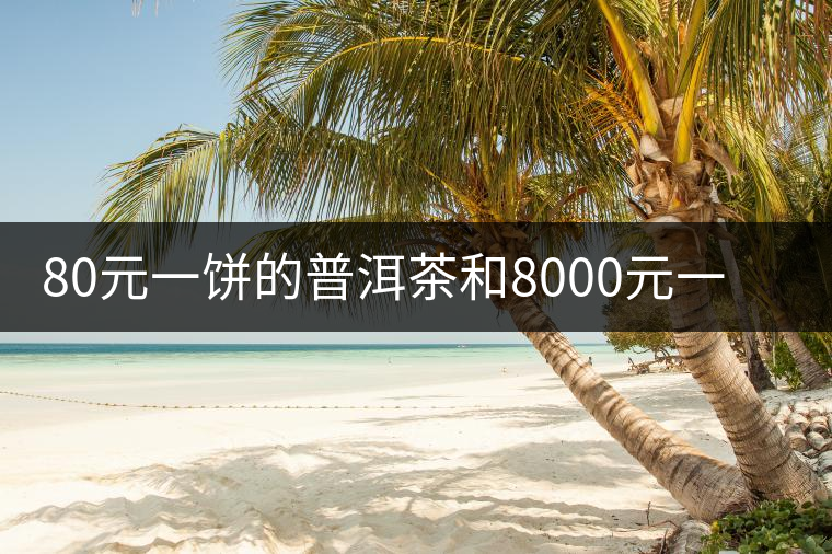80元一餅的普洱茶和8000元一餅的普洱茶差別在哪里？