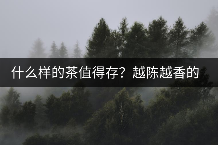 什么樣的茶值得存？越陳越香的本質(zhì)是什么？
