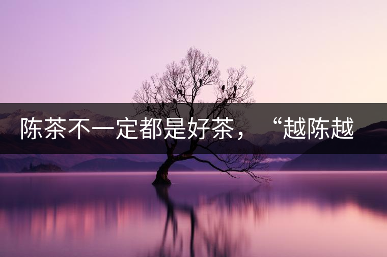 陳茶不一定都是好茶，“越陳越香”也要看茶種類！