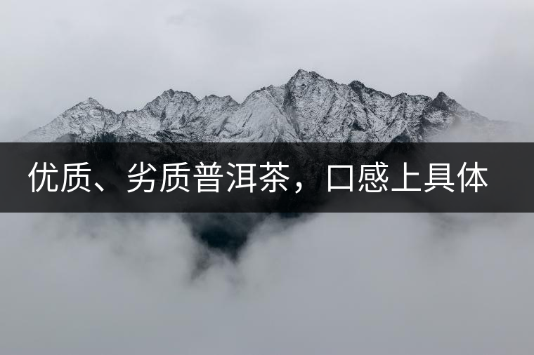 優(yōu)質(zhì)、劣質(zhì)普洱茶，口感上具體有哪些特征？