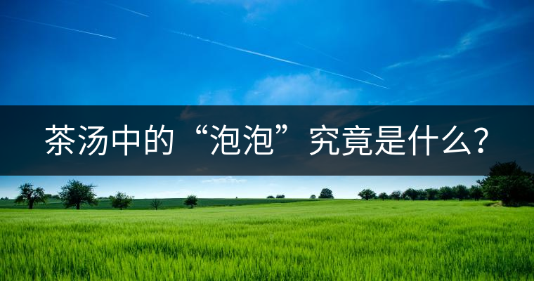 茶湯中的“泡泡”究竟是什么？